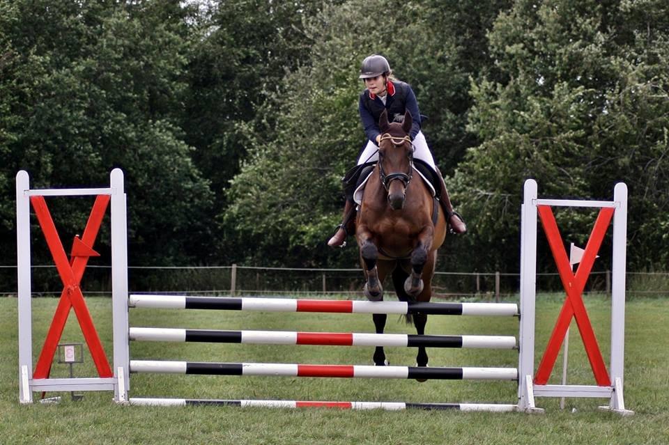 Dansk Varmblod Enekærs Rio-Belle billede 18