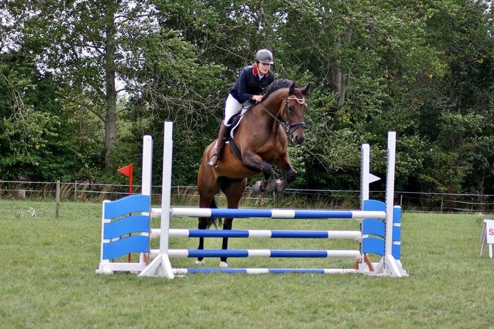 Dansk Varmblod Enekærs Rio-Belle billede 19