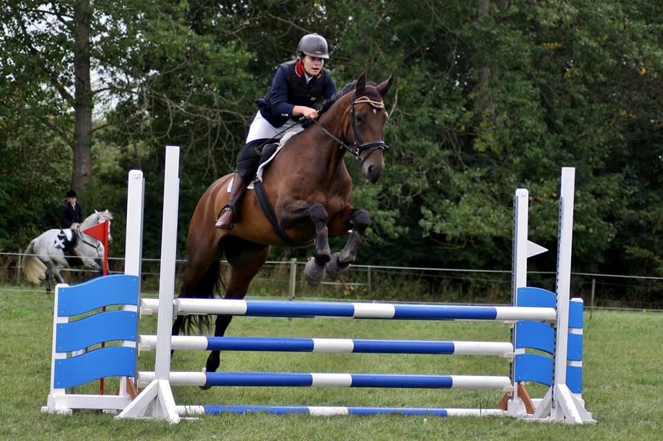 Dansk Varmblod Enekærs Rio-Belle billede 20