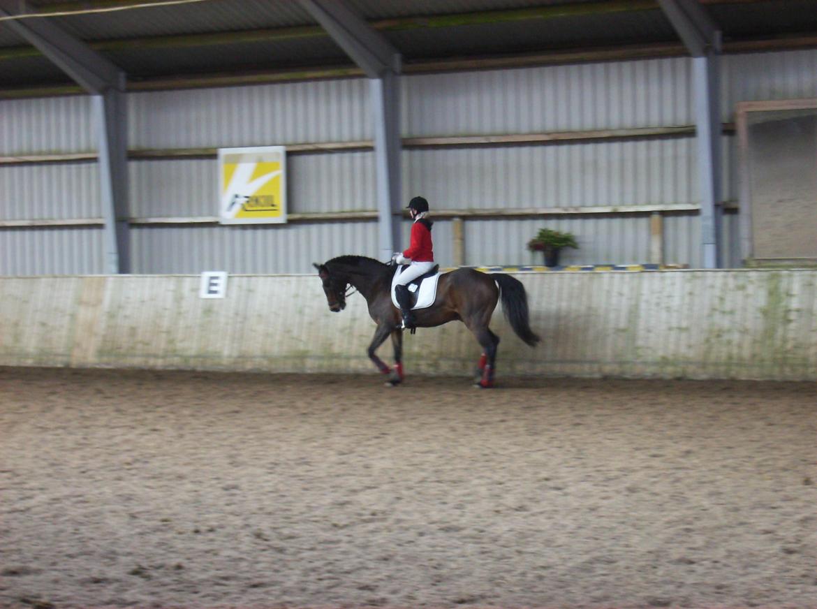 DSP Jason billede 14