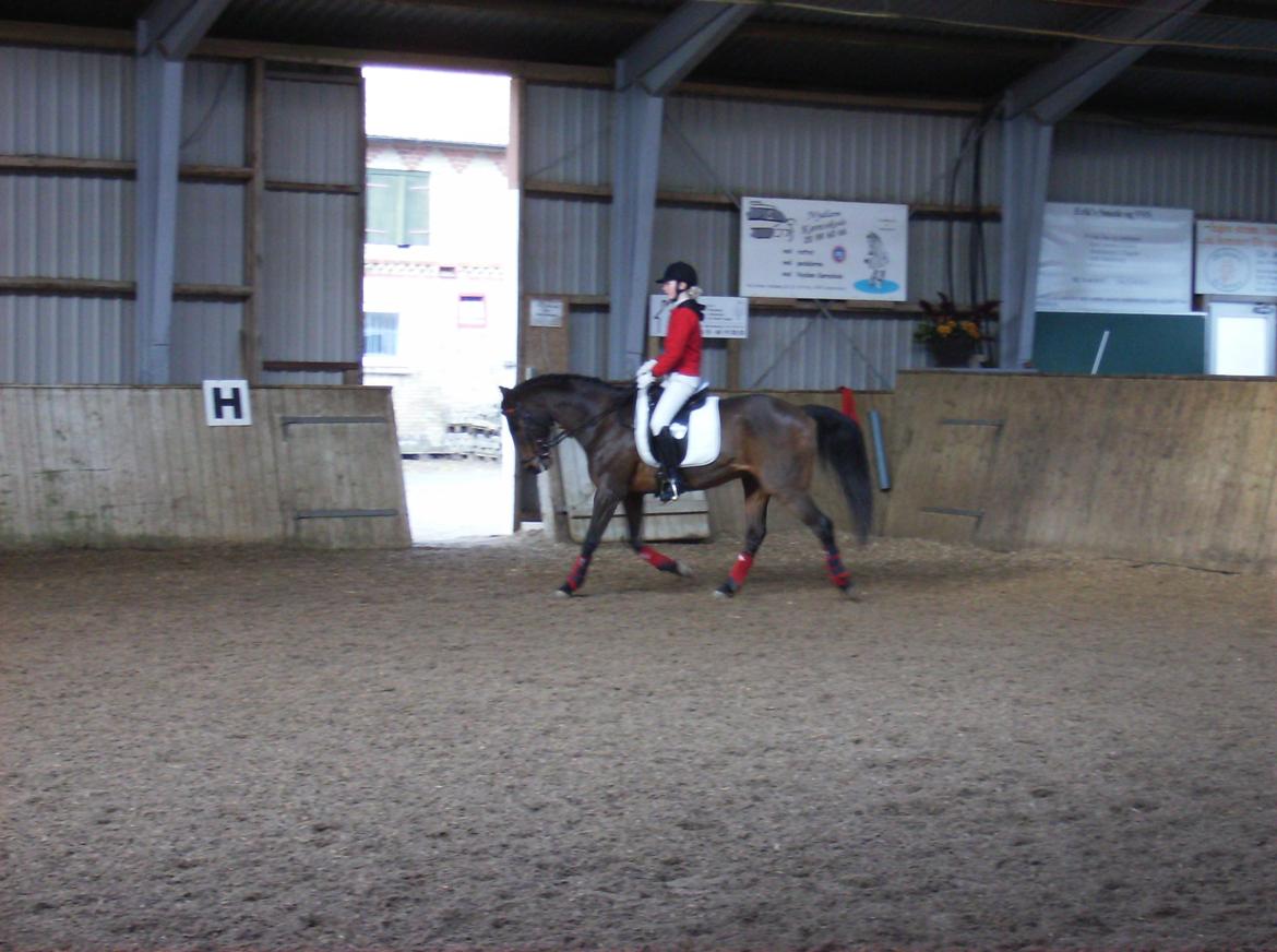 DSP Jason billede 15