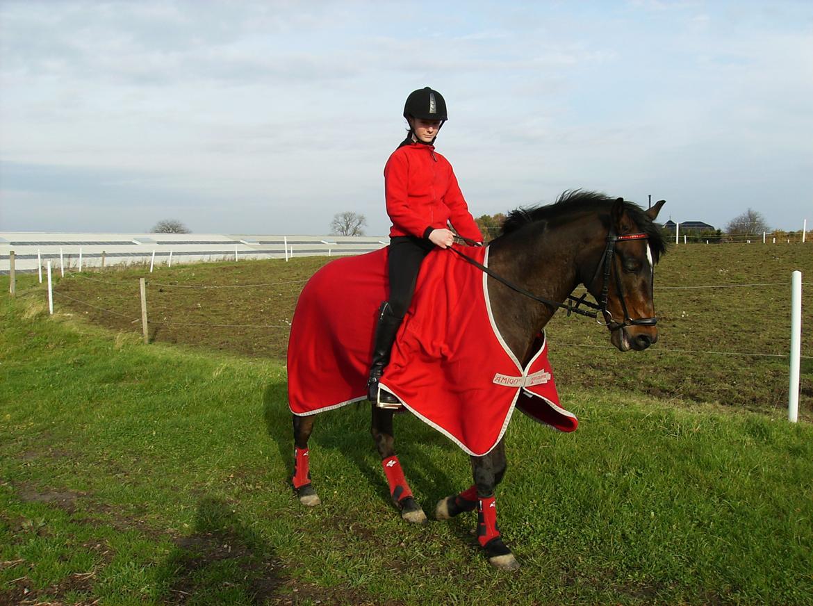 DSP Jason billede 16