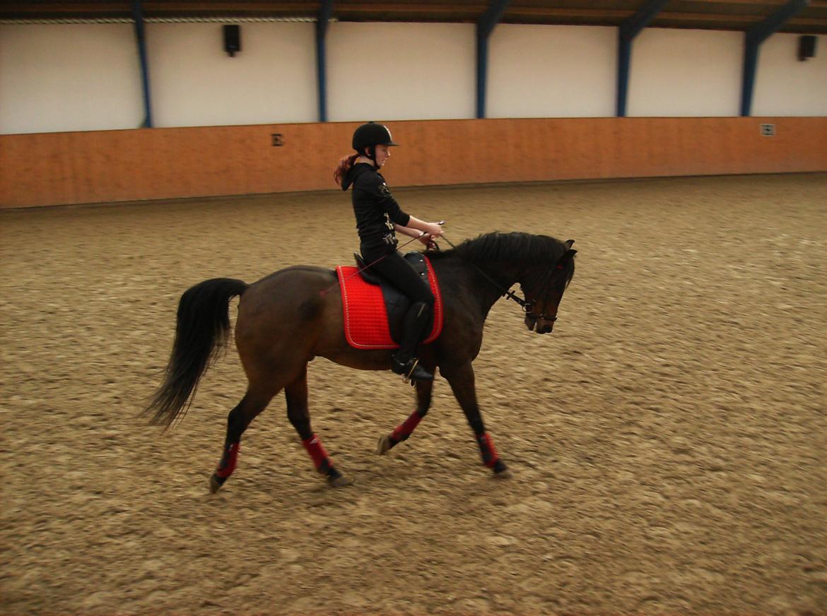 DSP Jason billede 17