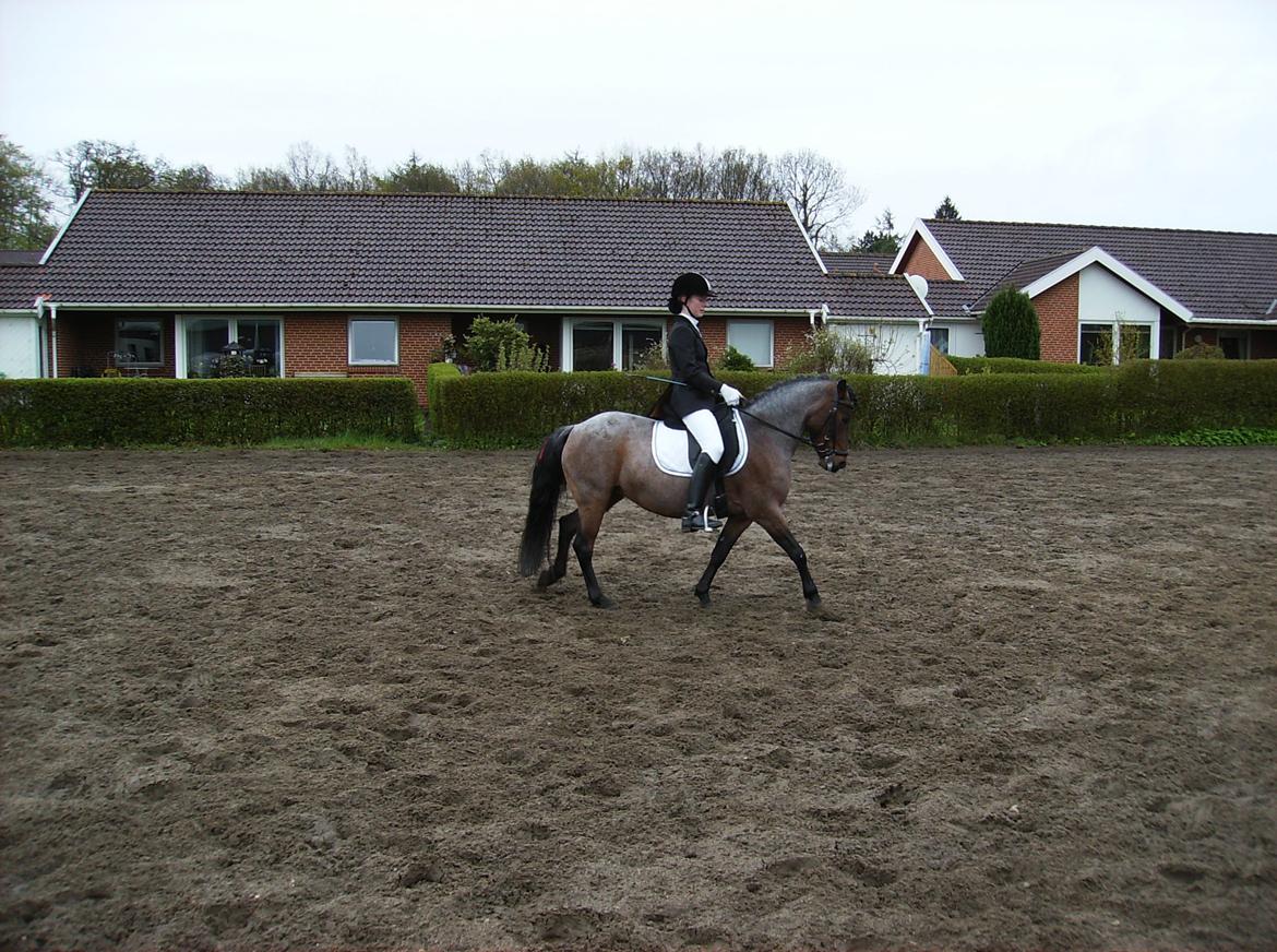 DSP Cirkeline (Sofa) billede 15