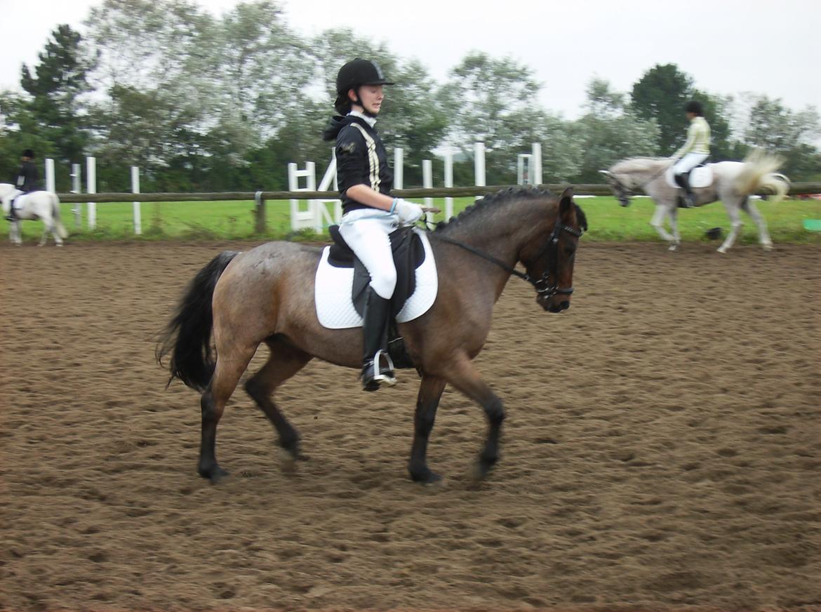 DSP Cirkeline (Sofa) billede 16