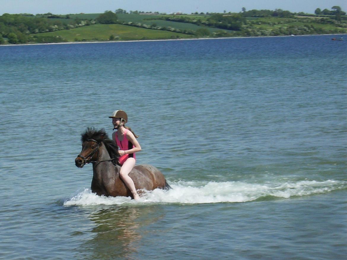 DSP Cirkeline (Sofa) billede 17