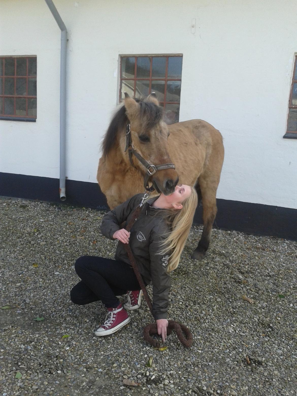 Anden særlig race Blinka<3 - Min lille prinsesse dagen før hun skulle aflives! :'( <3 
-hun er da bare for dejlig! :* billede 1