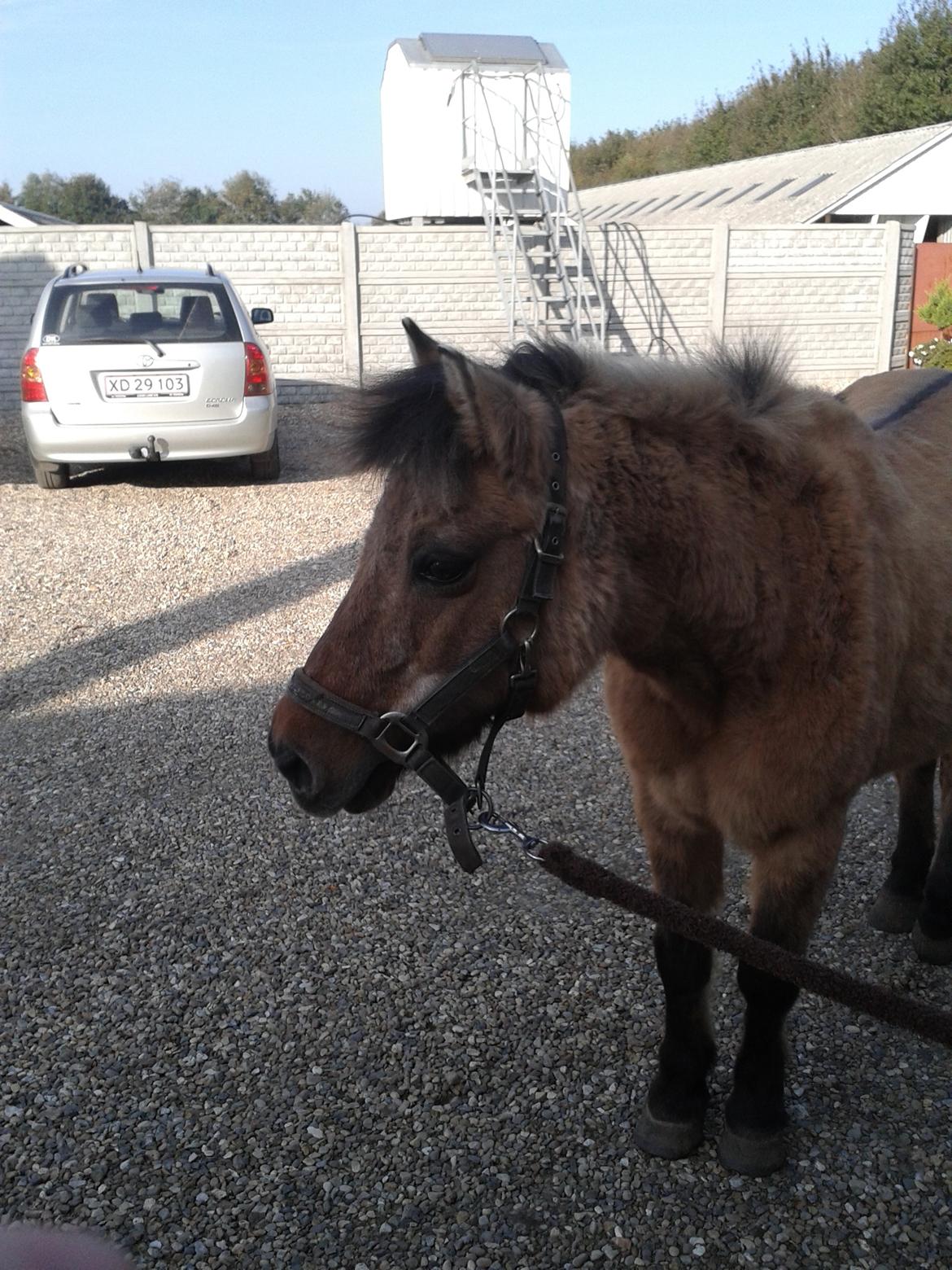 Anden særlig race Blinka<3 - Verdens dejlige musse! :* 
 billede 16