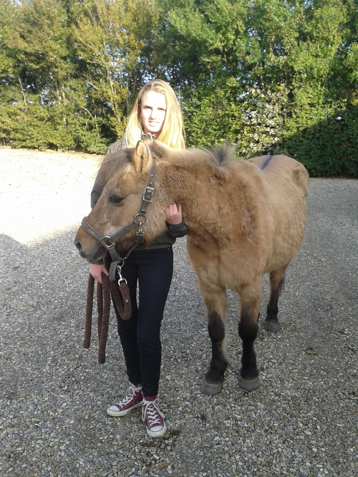 Anden særlig race Blinka<3 billede 18