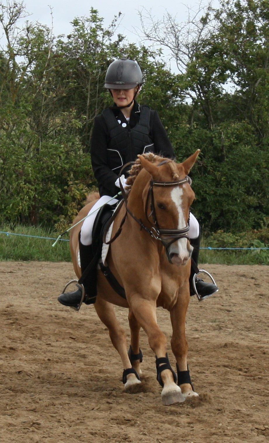 Anden særlig race Buster (Goise) billede 30