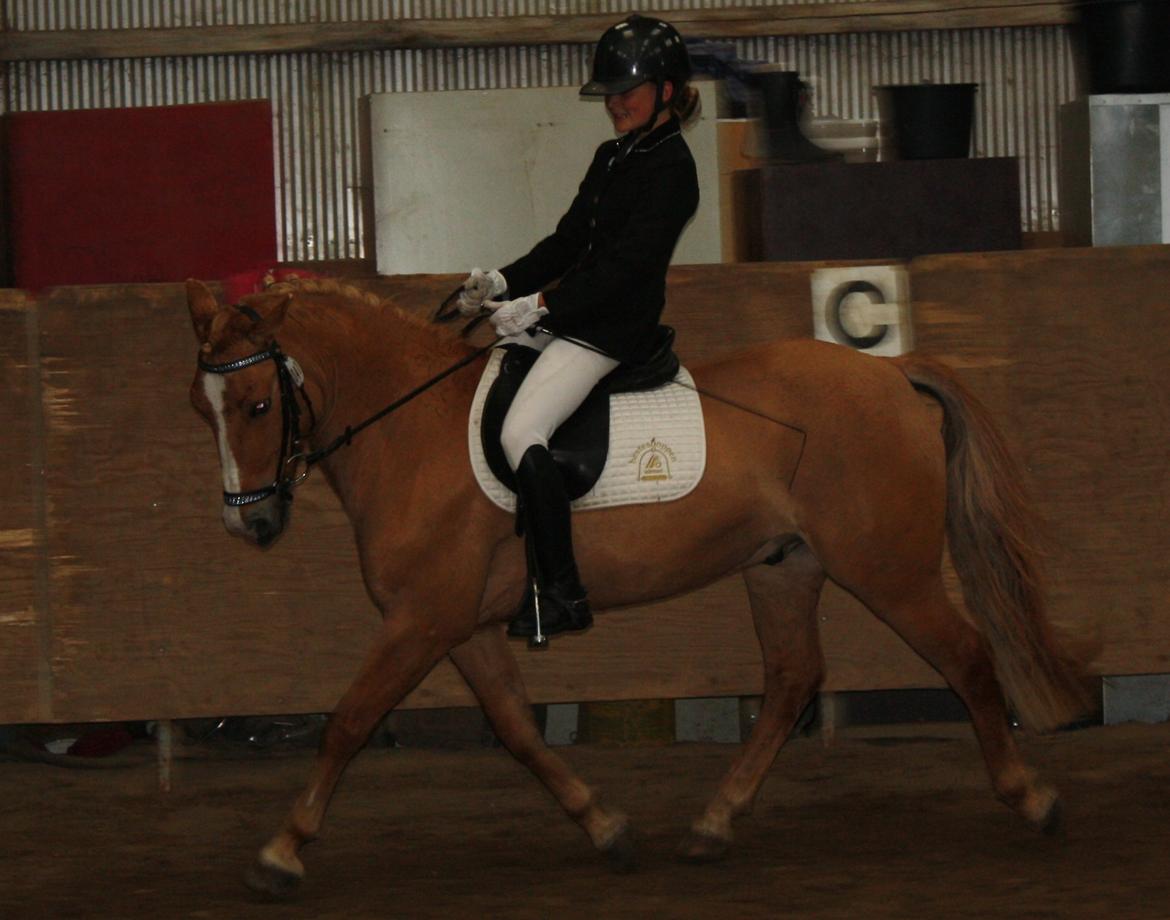 Anden særlig race Buster (Goise) billede 31