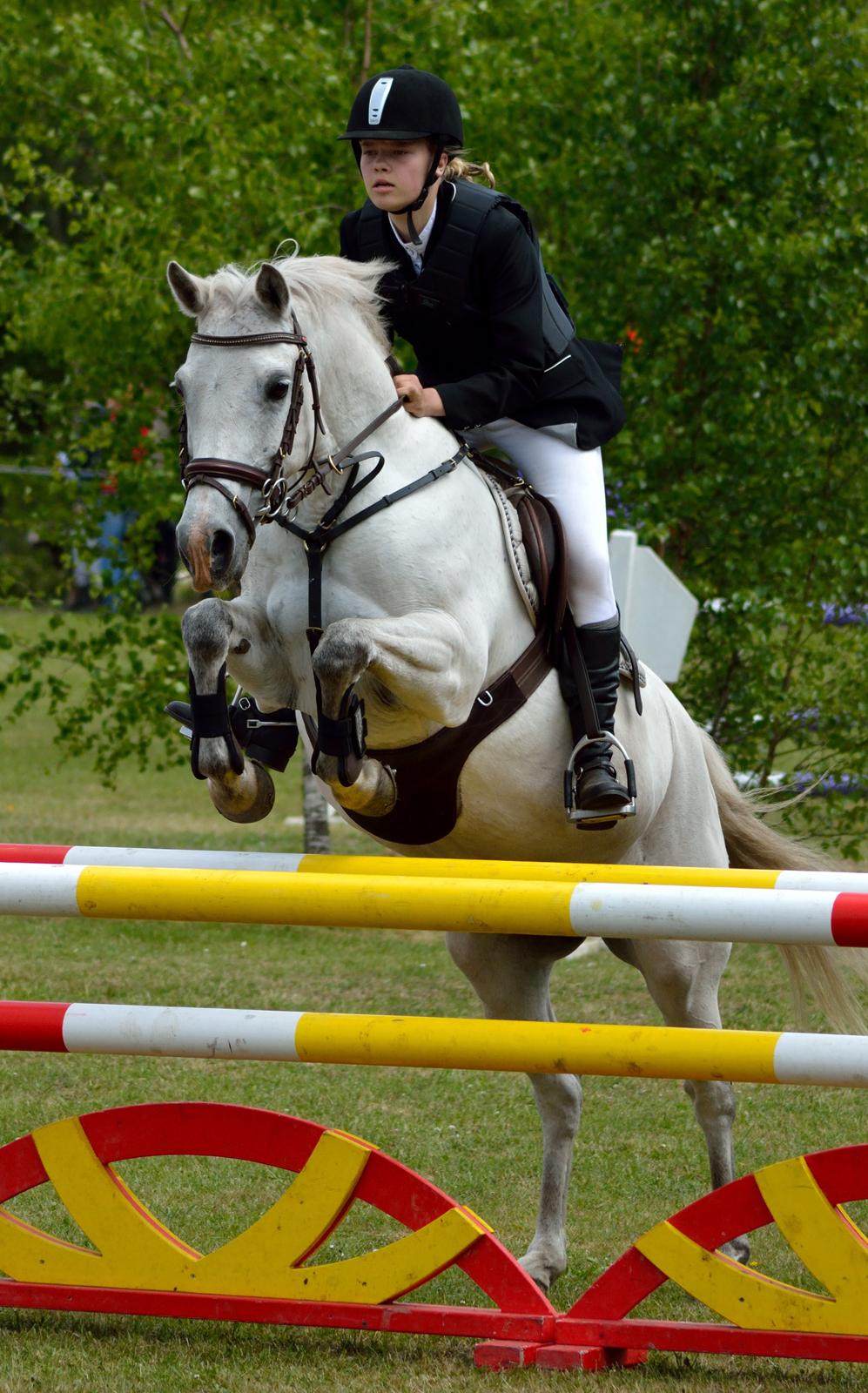 DSP Chanau Venture B-pony - MB i Brande - Fotograf: Josefine Randrup Jensen billede 9