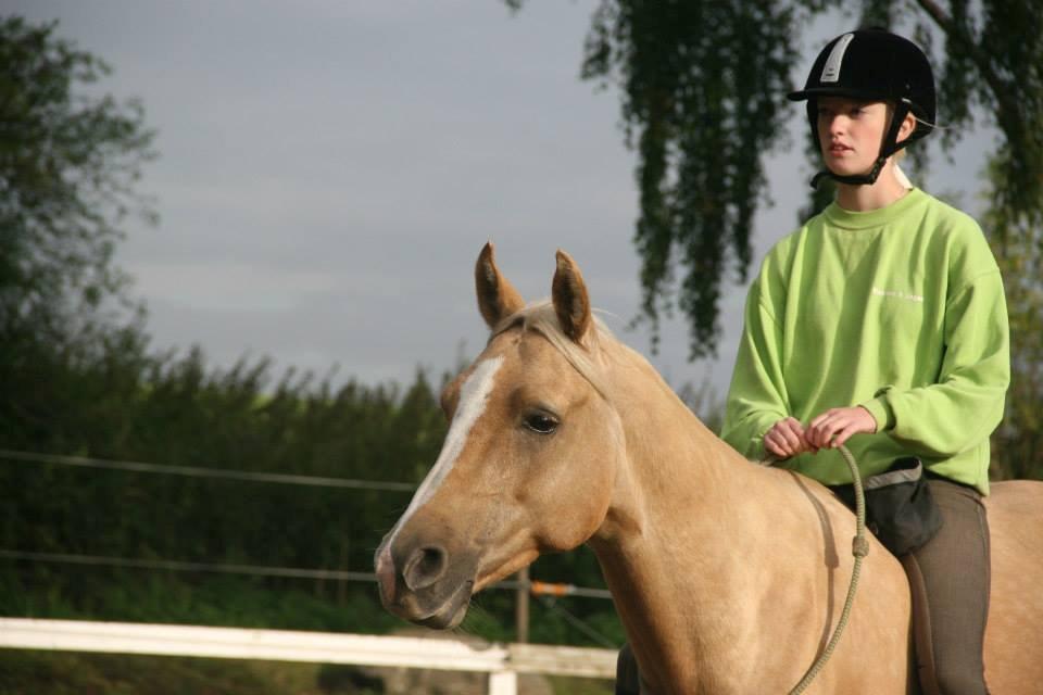 Palomino SKOVLYST'S LOGAN - fra cordeo stævne den 22 sept. vi fik en 2 plads billede 3