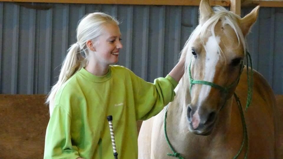 Palomino SKOVLYST'S LOGAN - fra stævne i løsarbejde klassen vi fik en 2. plads billede 7