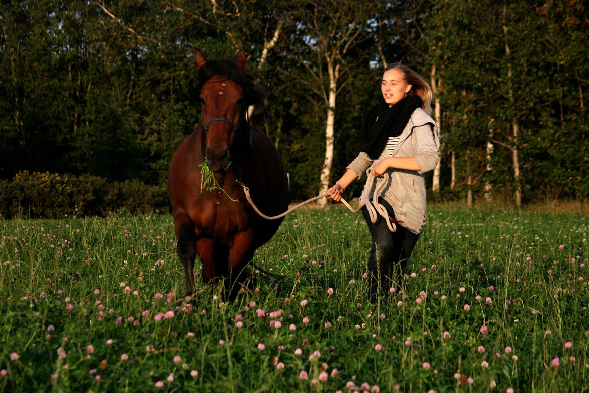 Traver | Kaliber Toft - Evigt fri <3 - At se min hest være lykkelig gør mig lykkelig <3 [Foto: CTZphoto] billede 12
