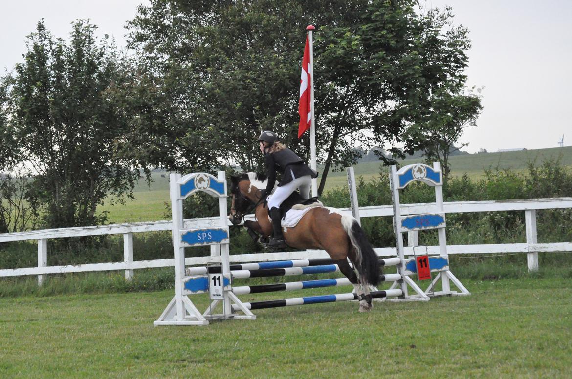 Anden særlig race Color solgt billede 2