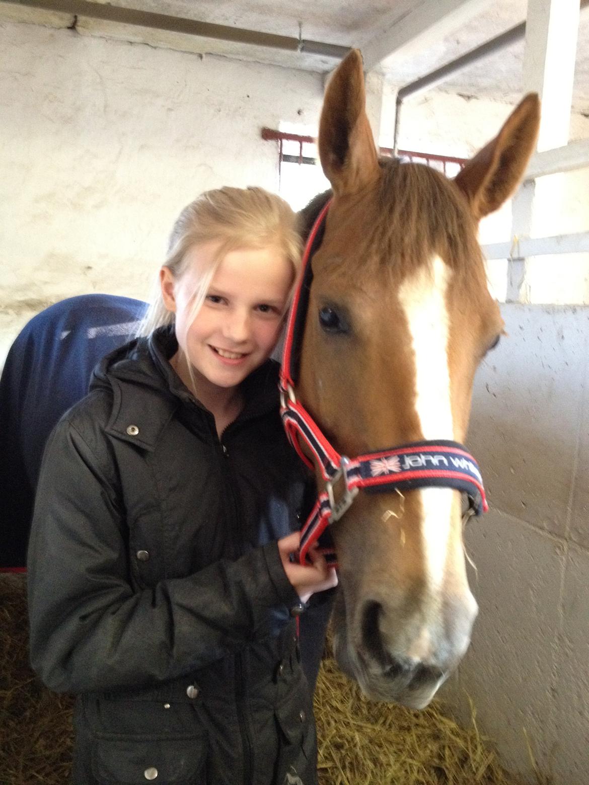 Palomino Aastrupgaards Gry - Her har jeg lige fået hende <3 billede 4