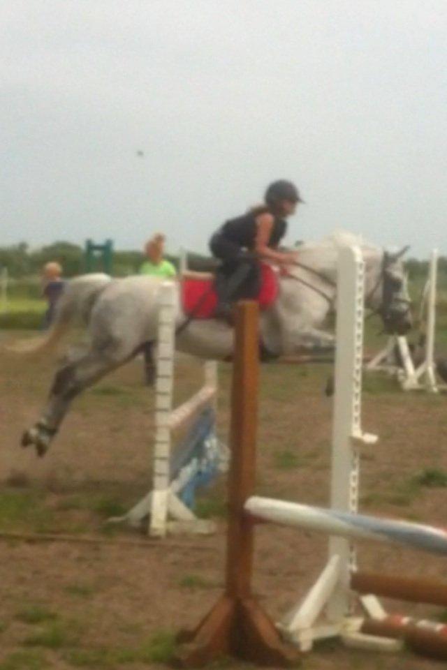 DSP nordenhøjs freja billede 11