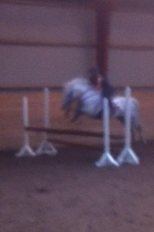 DSP nordenhøjs freja billede 12