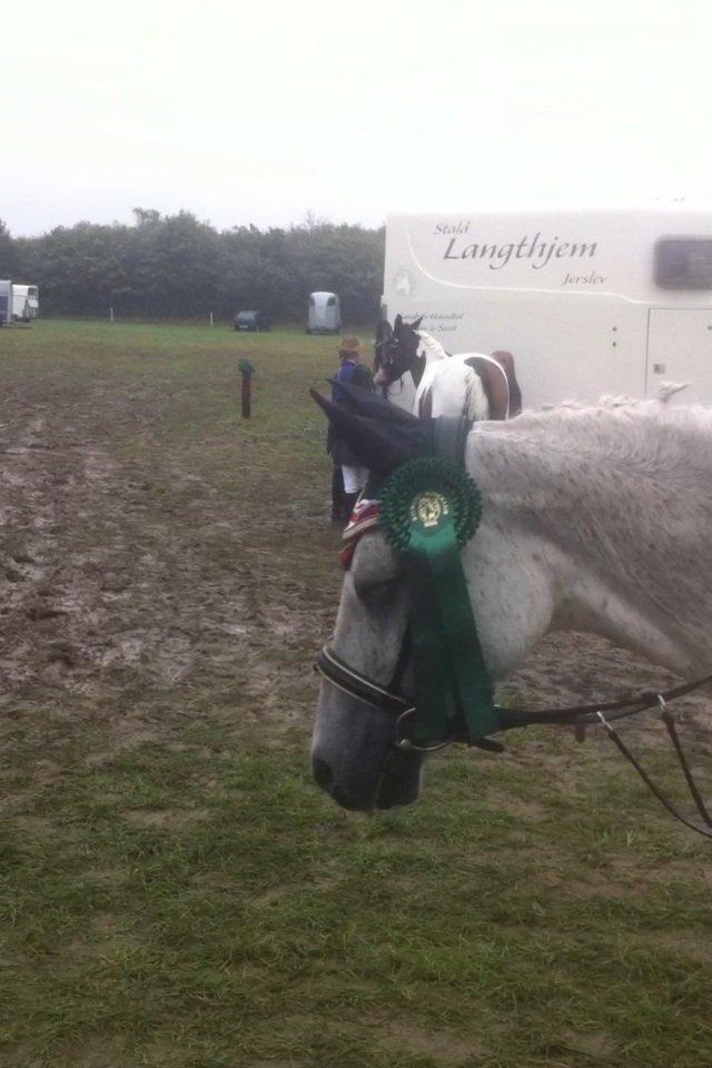 DSP nordenhøjs freja billede 13