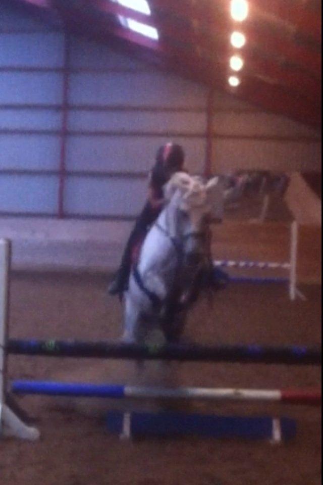 DSP nordenhøjs freja billede 14