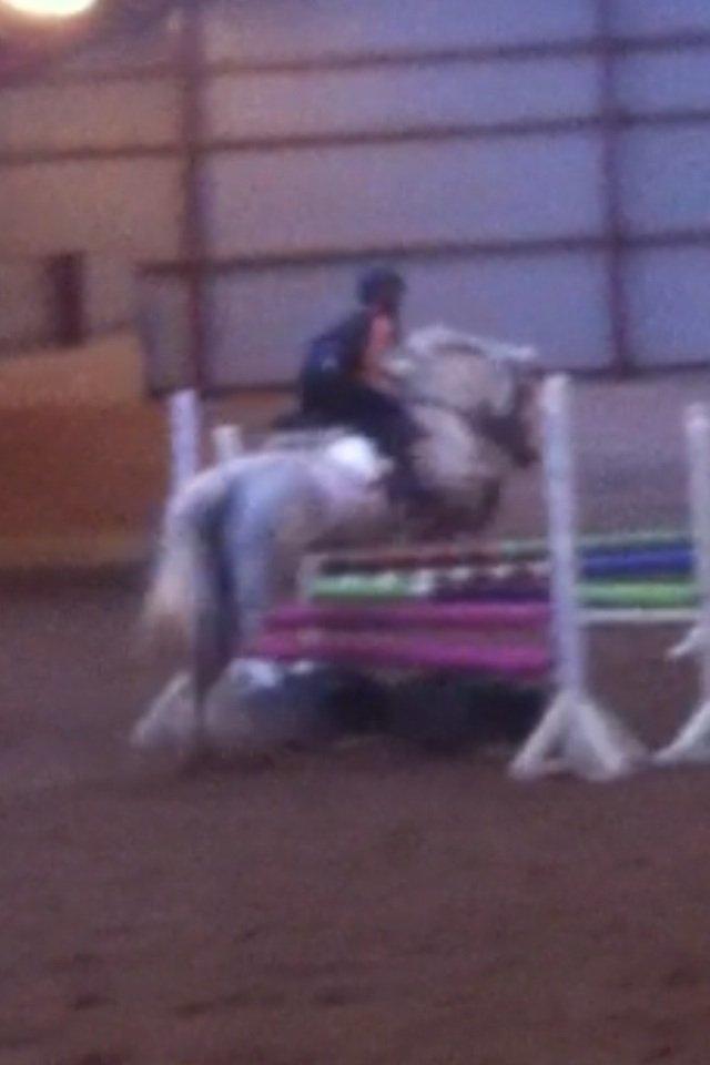 DSP nordenhøjs freja billede 15