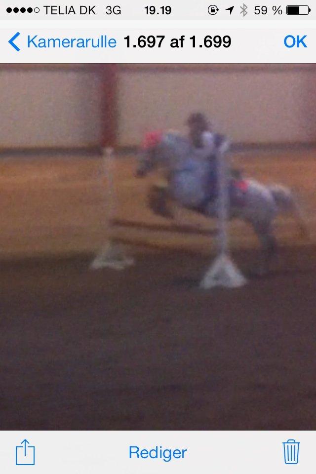 DSP nordenhøjs freja billede 16