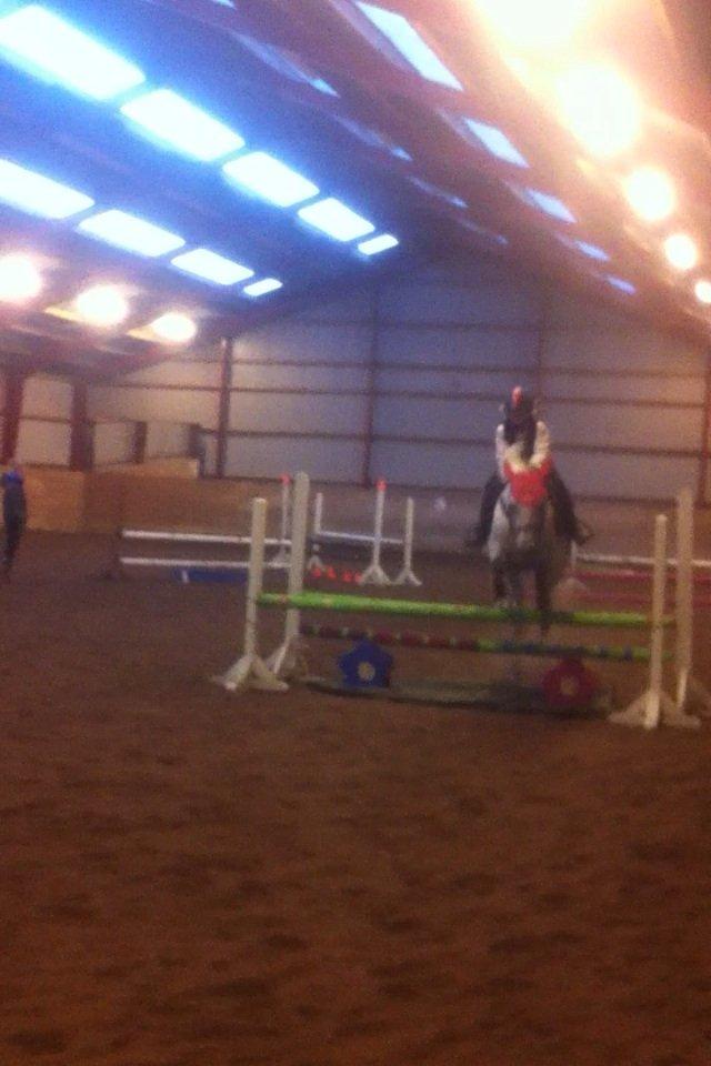 DSP nordenhøjs freja - et lille hop på 80 cm billede 17