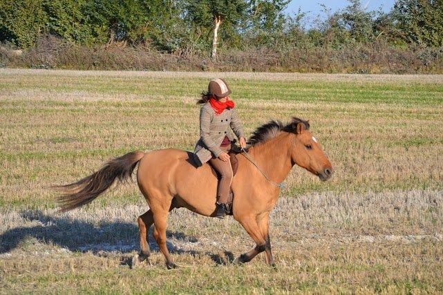 Anden særlig race Lukas billede 11