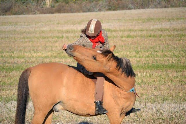 Anden særlig race Lukas billede 12