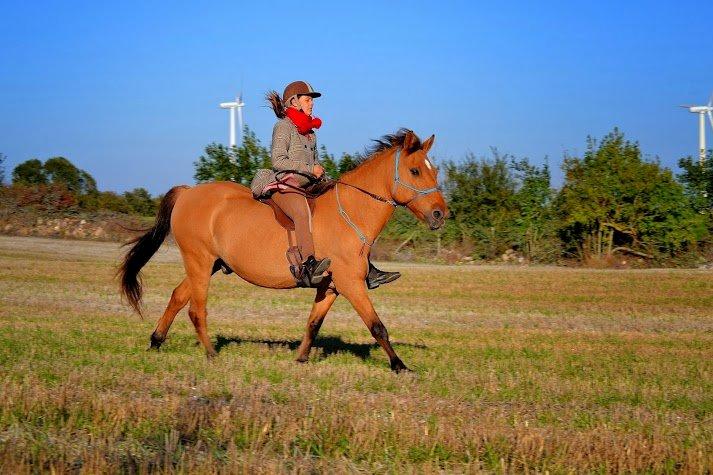 Anden særlig race Lukas billede 5