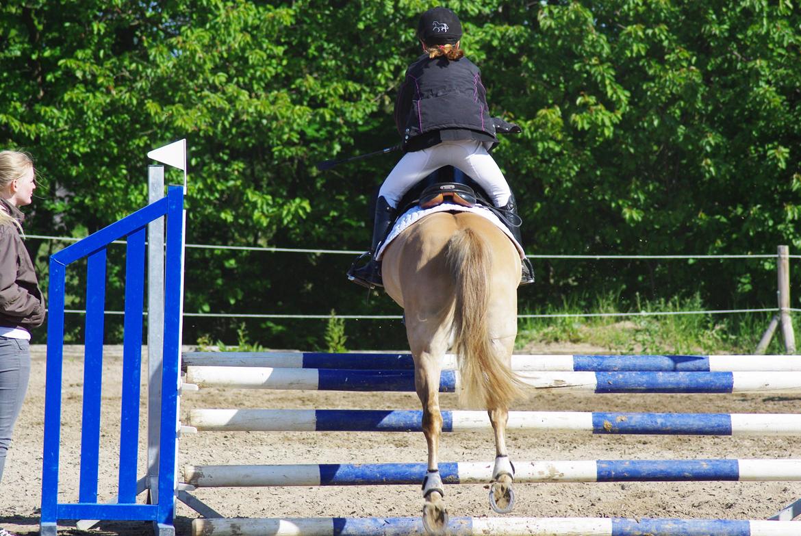 Anden særlig race Stald Poppels Snuggi billede 3