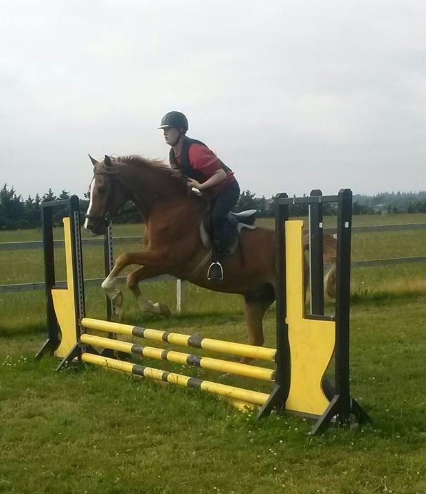 Anden særlig race Pollux - første billed og springtime på pollemissen<3 billede 1