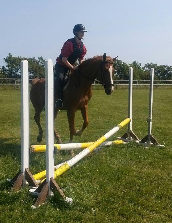 Anden særlig race Pollux billede 2