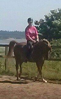 Anden særlig race Pollux billede 9