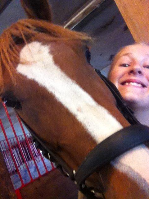 Anden særlig race Pollux - hyggebilled<3 billede 11