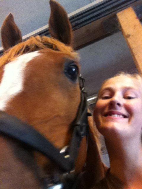 Anden særlig race Pollux billede 12