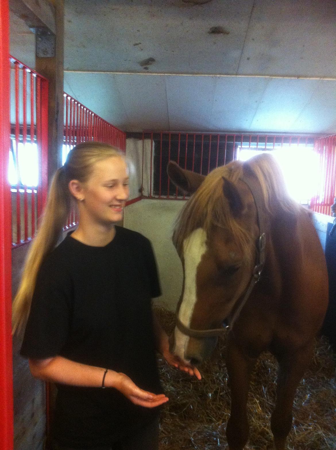 Anden særlig race Pollux billede 13