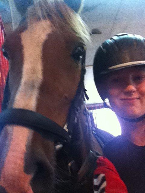 Anden særlig race Pollux billede 15