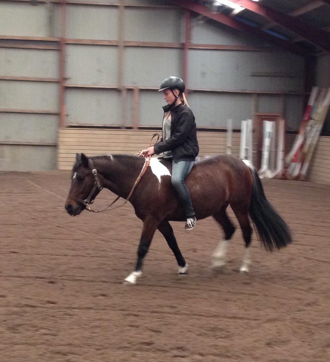 Anden særlig race Bianca billede 1