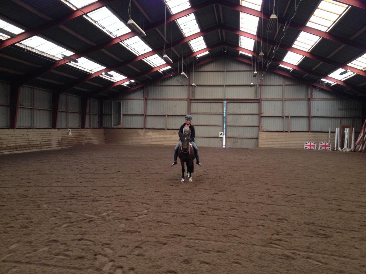 Anden særlig race Bianca billede 2