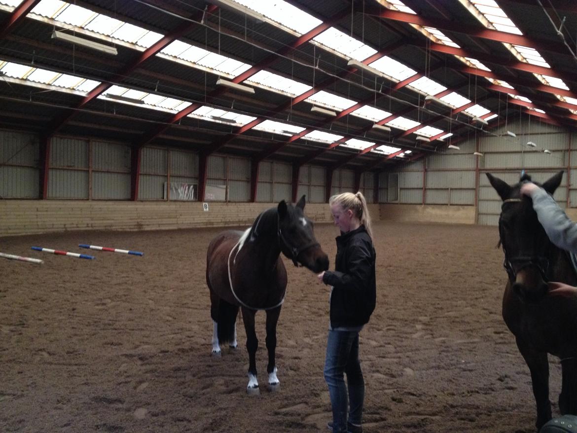 Anden særlig race Bianca billede 5