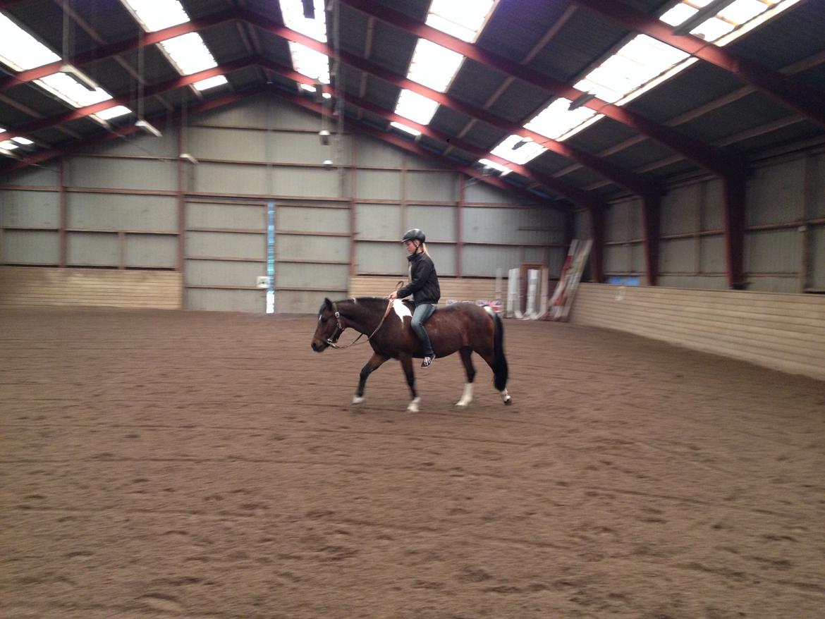 Anden særlig race Bianca billede 6