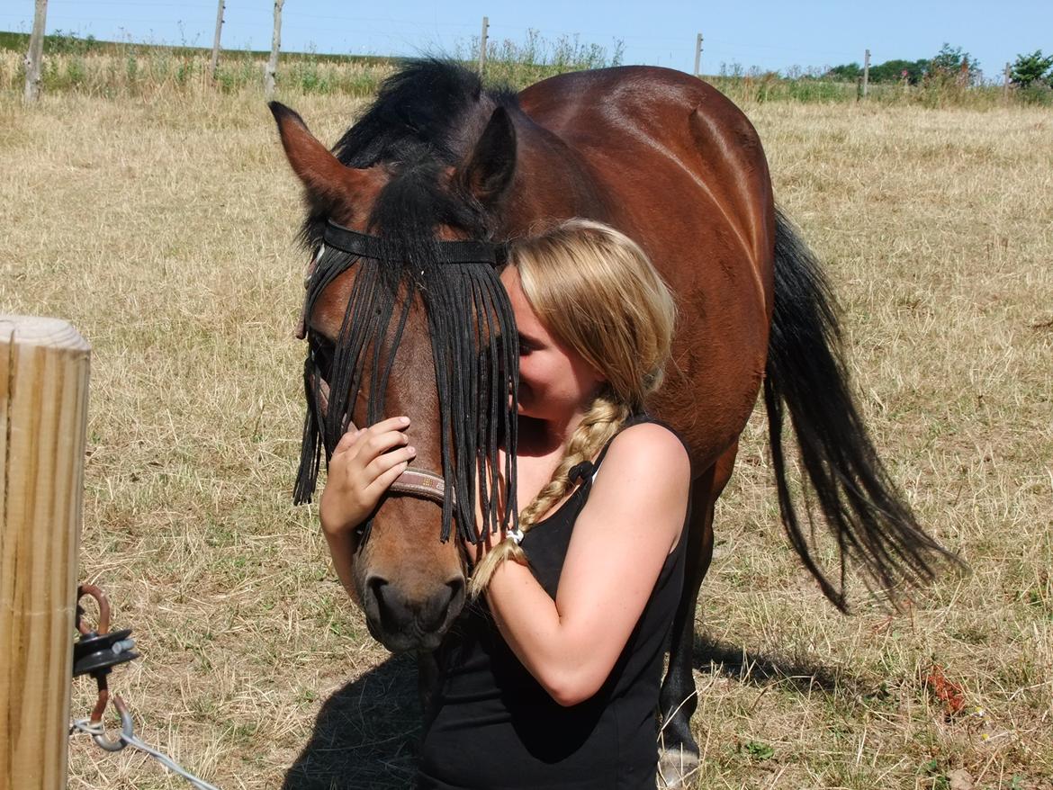 New Forest Cayenne  - Det vi har sammen er ubeskriveligt<3 Jeg elsker dig mere end noget andet!<3 billede 11
