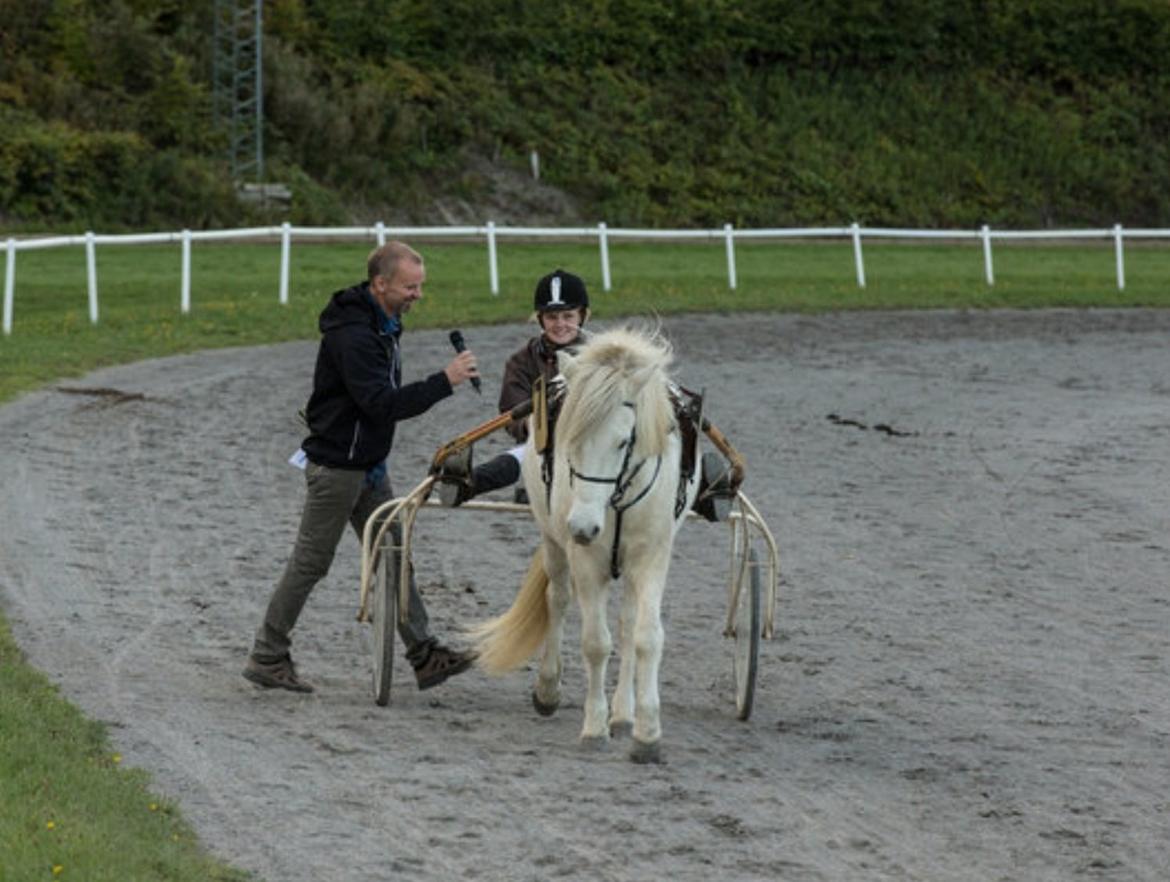 Islænder Ljómi fra Egeballegaard billede 9