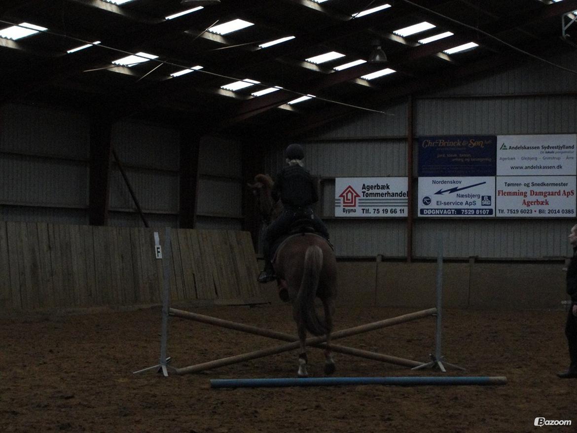 New Forest Spirit (Tidl. part) - Min bassemand vil nødig ramme de bomme der, hahahaha billede 20