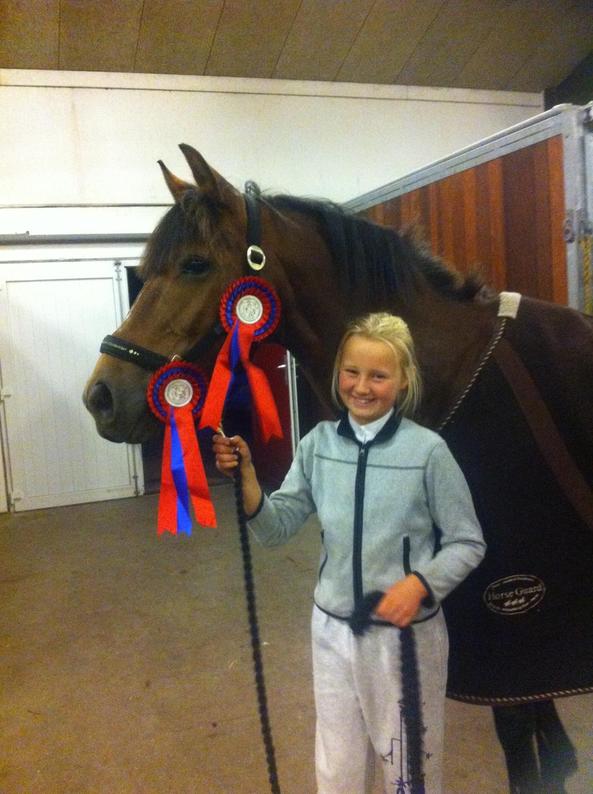 New Forest Langmarksgaards zorro - 2*fejlfrie U-LB'er :-) billede 13