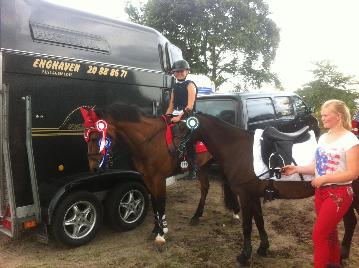 New Forest Langmarksgaards zorro - Første stævne for Sandie, heldigvis med en dygtig læremester! <3 billede 14