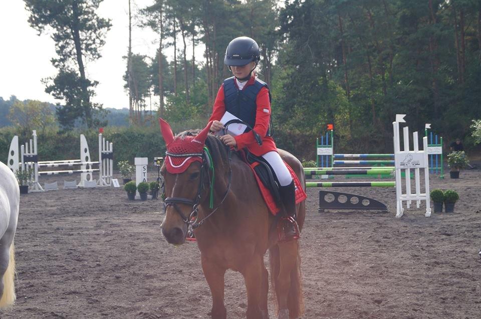 New Forest Langmarksgaards zorro - Første LA og 4. plads!
 billede 20