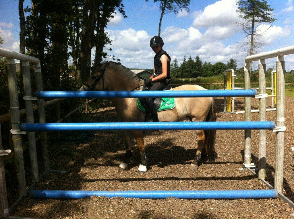 Fjordhest Mille - Vi hoppede lige over 140cm<3 billede 16